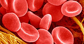 See how blood is used See how blood is used